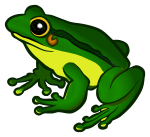 frog - coloured